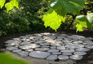 How Professional Landscaping Saves Time and Effort