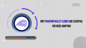Why Phantom Wallet Clones Are Essential for Web3 Adoption
