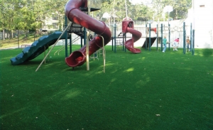 Backyard Putting Greens Austin: A Guide to Creating Personal Golf Retreat