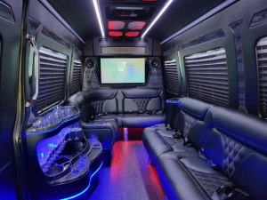 How Many People Can Fit in a Party Bus? A Quick Guide
