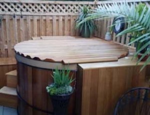 Swim Spa Jackson WY Year Round Fitness and Relaxation in One