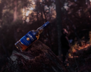 Premium Blended Whisky Options Popular in Delhi & Punjab