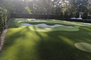 Which Works Best: Natural Vs Putting Green Artificial Grass in Austin 