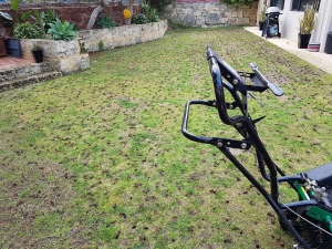 How Often Should You Schedule Lawn Cleaning Services?