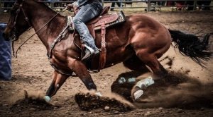 Unleashing the Action: Wrangler NFR 2023 Date, Time, and TV Coverage