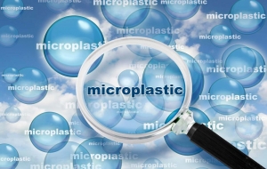 How Microplastics Affect Human Health: What You Need to Know