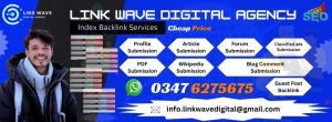 Boost Your Online Presence with Link Wave Digital Agency's Expert Backlink Services