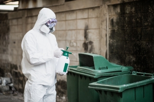 The Hidden Link Between Pest Control and Clean Trash Bins