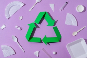 Go Green with Molded Fibre & Bagasse Packaging