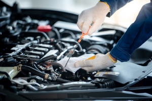 Interim Service vs Full Service: Key Differences Every Driver Should Know