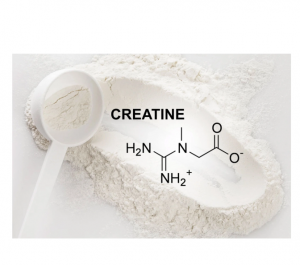 Creatine Monohydrate: The Ultimate Guide to Understanding Its Benefits, Dosage, and Comparisons