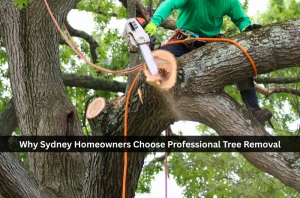 Why Sydney Homeowners Choose Professional Tree Removal