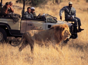 From Savannah to Serengeti: Discovering Kenya & Tanzania