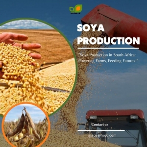 How to Find the Best Soya Foods Supplier in South Africa for Your Needs