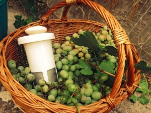 Recetas de jugos y batidos bajos en azúcar con vegetales frescos