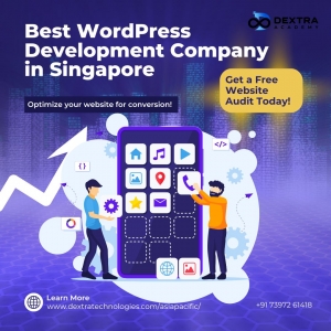 The Best Ecommerce WordPress Development Company in Singapore for Online Success: 7 Reasons to Choose Smart
