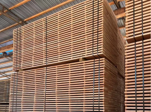 Okoume Wood: A Complete Guide to Its Properties, Uses, and Comparisons