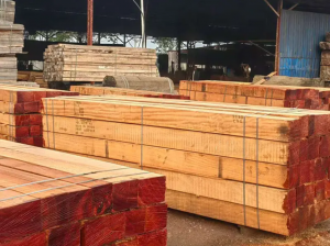 Tali Wood: A Complete Guide to One of Africa’s Most Durable Hardwoods