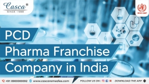 Traits of the Most Valued and Credible Pharma Franchise Company in India