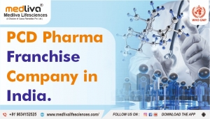 Importance of Round-the-Clock Assistance in PCD Pharma Franchise