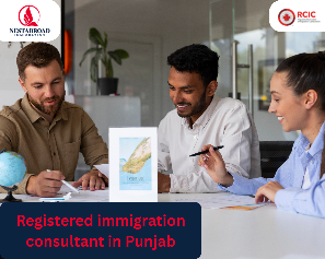 Registered Immigration Consultant in Punjab: Why Choosing the Right Expert Matters
