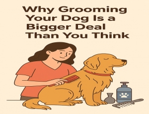Why Grooming Your Dog Is a Bigger Deal Than You Think