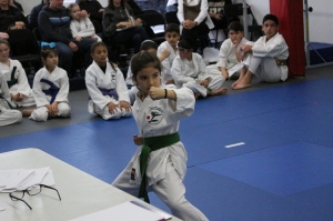 How Karate Classes Teach Kids to Overcome Challenges