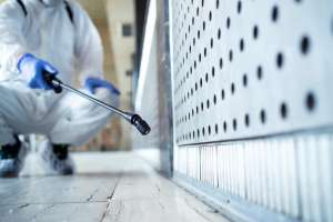How Pest Control Services Protect Your Home From Harmful Insects and Rodents