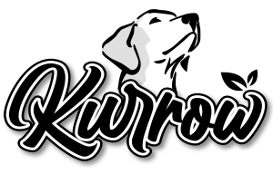 Kurrow: Your Partner for Web Design and Development in New York City