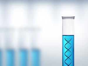 Fuel Marker Market Size, Share and Forecast Report 2025-2033