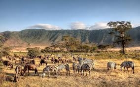 Top 15 Tanzania Luxury Safari Lodges and Camps in 2025/2026