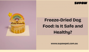 Freeze-Dried Dog Food: Is It Safe and Healthy?