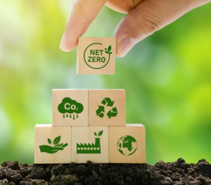 Sustainable Packaging for Small Business