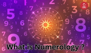 What is Numerology? | Name & DOB Numerology Calculator Guide