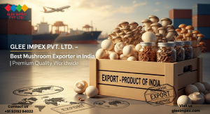 Mushroom Export Made Easy with Glee Impex | Top Mushroom Exporter from India