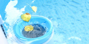 Pool Skimmer: The Key to Sparkling, Safe, and Healthy Water