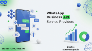 WhatsApp Business API Service Provider in India: The Complete Guide