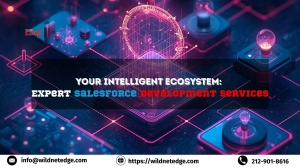 Your Intelligent Ecosystem: Expert Salesforce Development Services