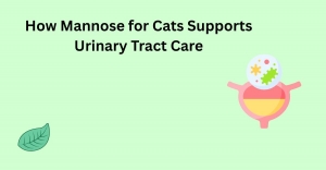 How Mannose for Cats Supports Urinary Tract Care