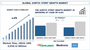 Aortic Stent Grafts Market Report, Size, Overview, Trends & Analysis 2033