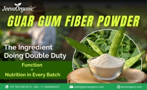 Why R&D Teams Are Betting on Guar Gum Fiber Powder for 2025