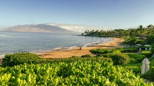Flights to Maui: Plan Your Perfect Island Getaway