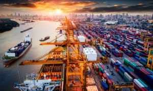 Beginner’s Guide to Sustainable Procurement: Building Responsible and Resilient Supply Chains