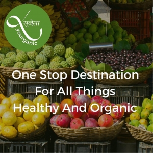The Health Benefits of Organic Fruits: A Comprehensive Guide