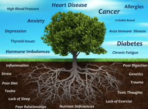 How to Choose the Best Functional Therapy for Your Health Needs