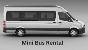 Efficient and Convenient: Exploring the World with a Mini Bus