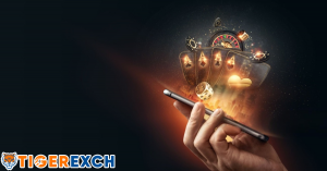 Tiger Exch 777: Gaming That Feels Different