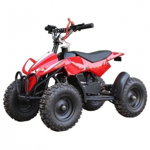 What are the Safety Features of the TaoTao ATA-125D  4 Wheelers?