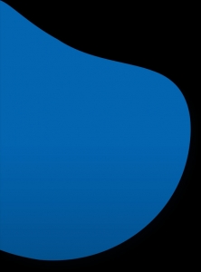 The Growing Importance of Social Media Marketing