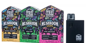 Gold Bars MDMA: What You Need to Know